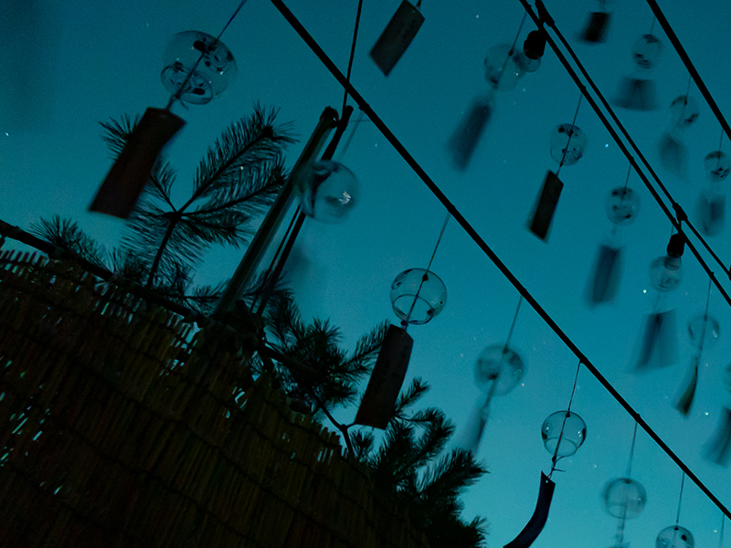 glass windchimes and spruce branches in silhouette against a night sky
