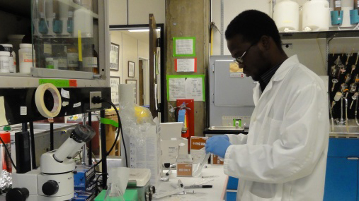 Undergraduate students in a neuroscience class