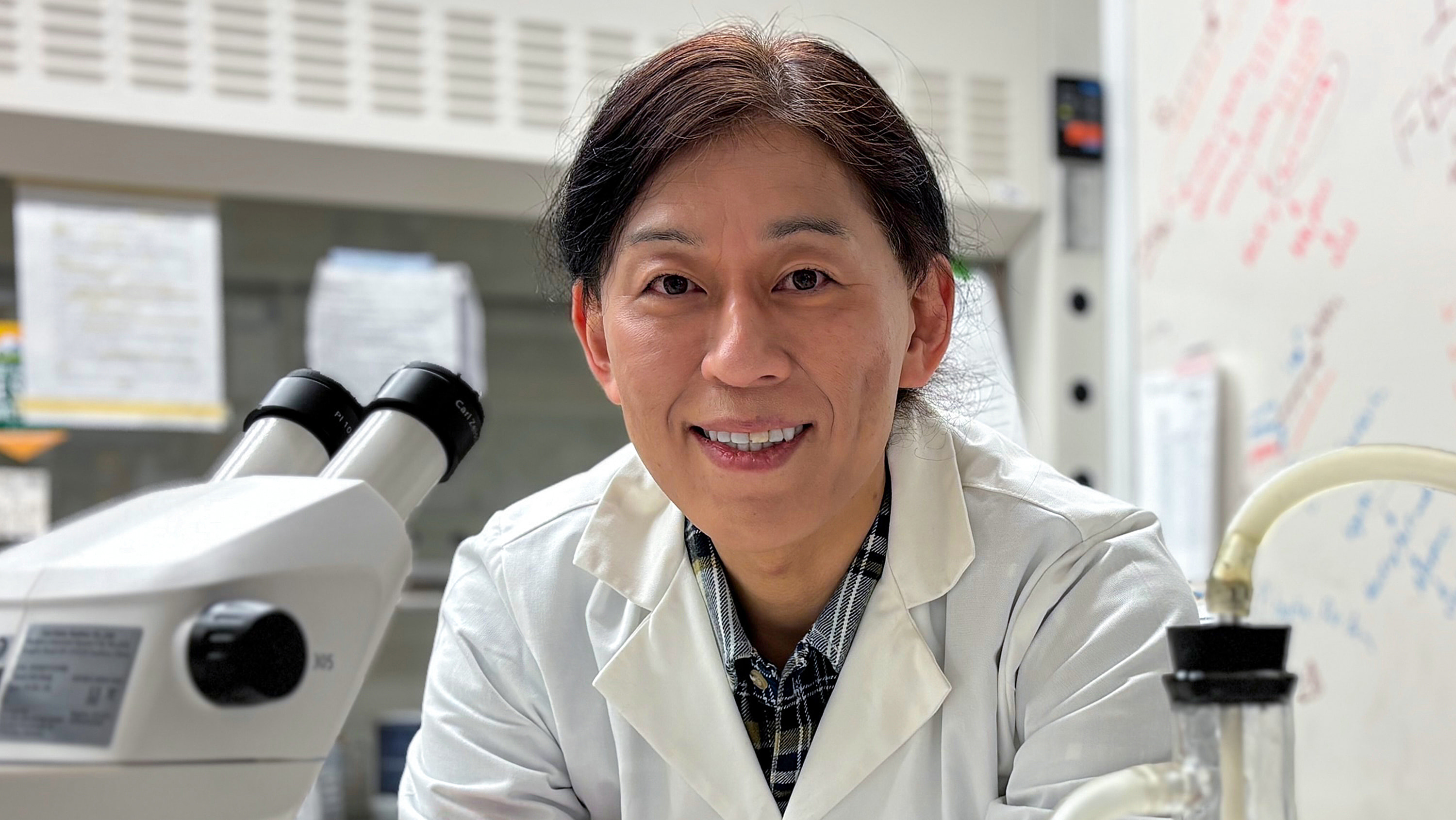Toshi Yokota
