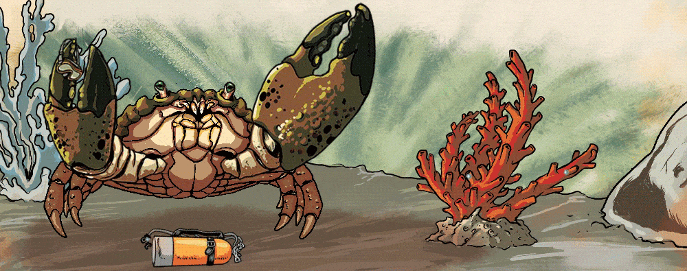 Stone Crab animation