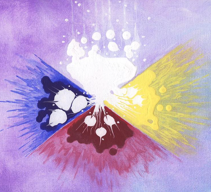 Native Studies Students' Association logo