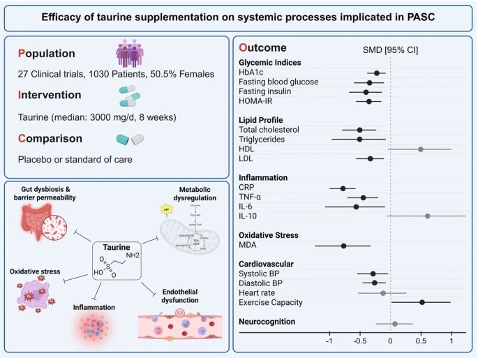 Oudit et al. 2026. Graphical Abstract