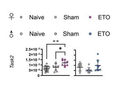 Representative Graph of ETO effect in RTN on Task2