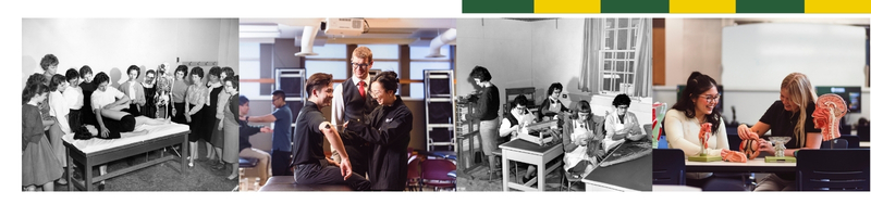 People providing therapy for patients