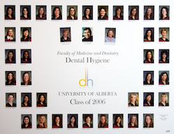 DH 2006