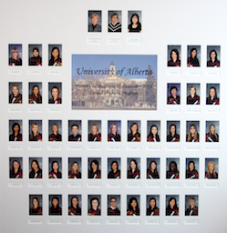 DH 2010