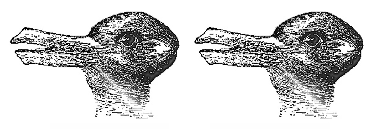 Duck Duck Rabbit How We See What We See Faculty Of Science Duck Duck Rabbit How We See What We See Faculty Of Science