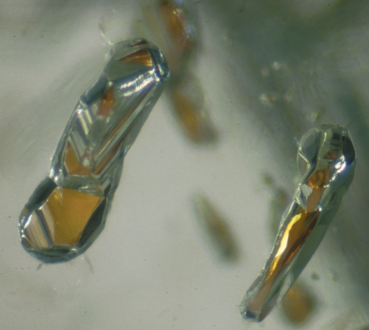 Garnet inclusions within diamonds