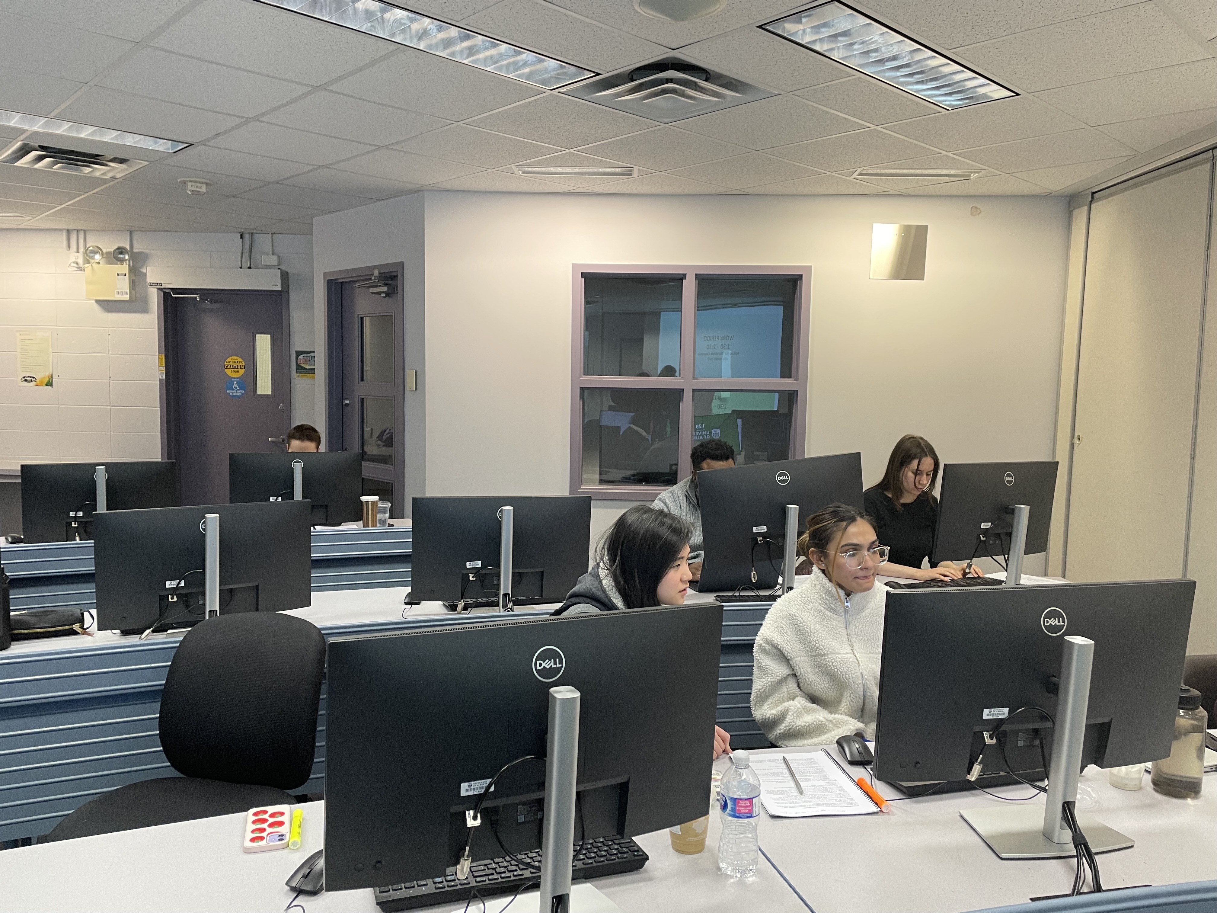 Trainees working at a R workshop