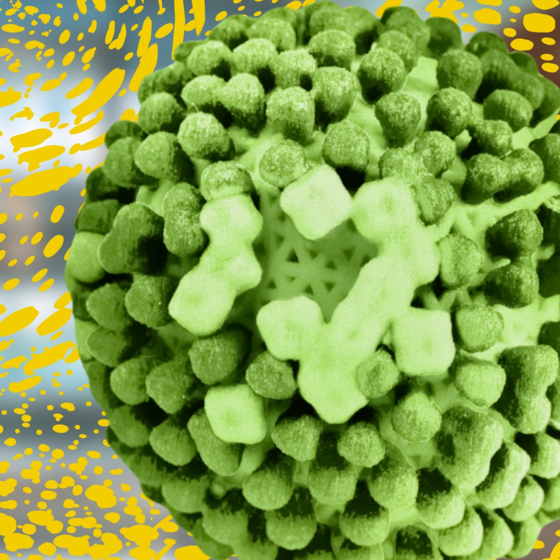 Influenza Virus