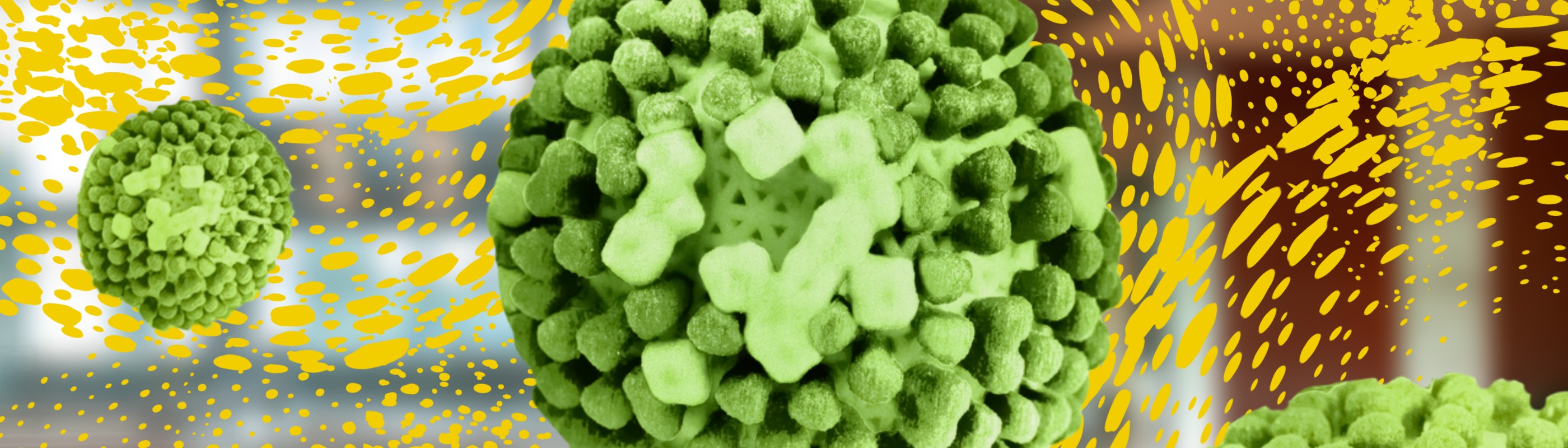 influenza viruses