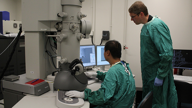 Xiongyao Wang and Holger Wille using the electron microscope