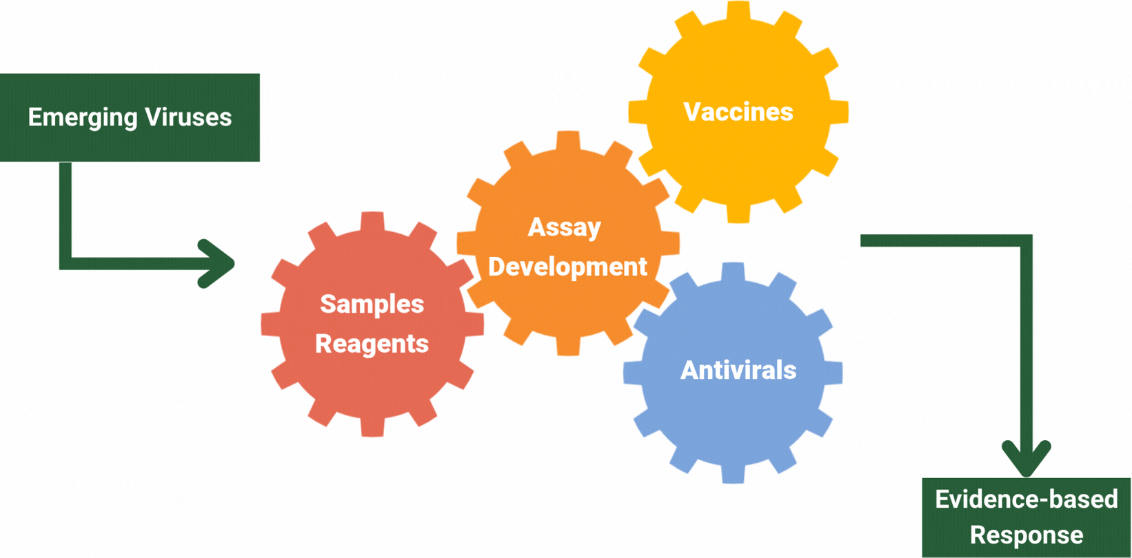 Image of an arrow labelled emerging pathogens. The arrow connects to a cog labelled samples. The sample cog is being moved by another cog labelled virology. The virology cog is moved by 2 cogs labelled vaccines and antivirals respectively. The last cogs connect to another arrow labelled support clinical trials.