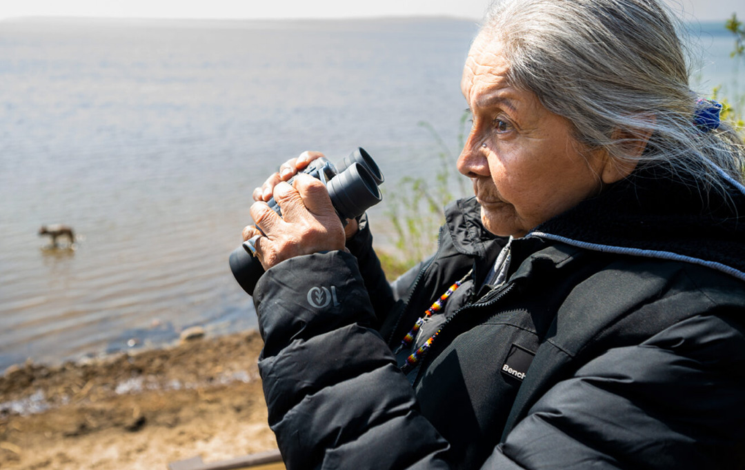 SILR member looking through binoculars by a body of water