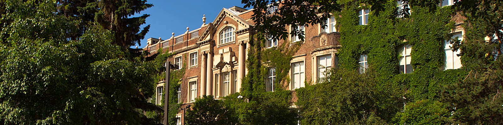 Sustainability Council banner image