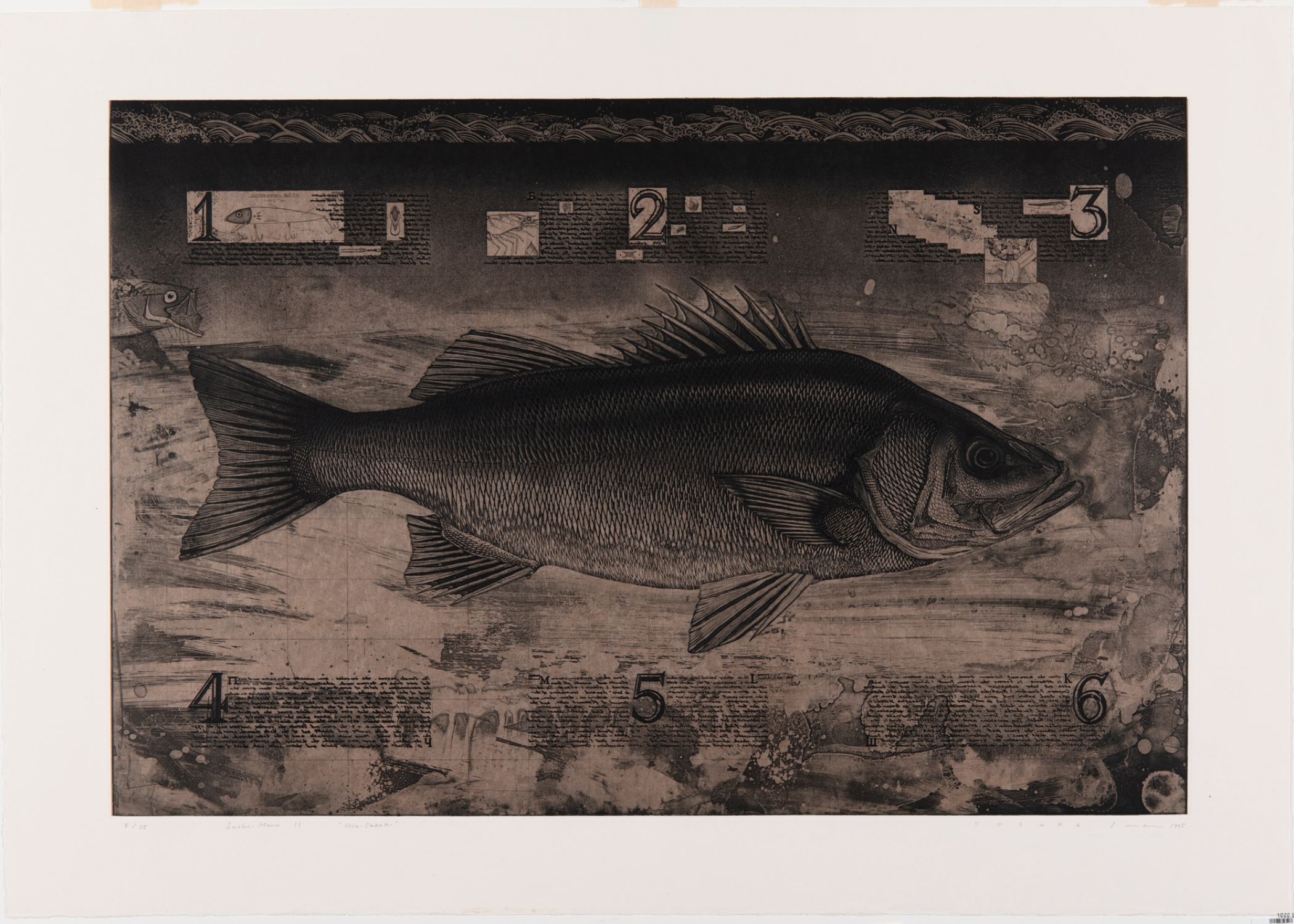 Sushi-Maru II ‘Hira-Suzuki’, 1995 Ink on paper: etching; aquatint; chine collé  Yosuke Imai Born Ehime, Japan, 1965  University of Alberta Museums Art Collection University of Alberta Museums 1999.8.