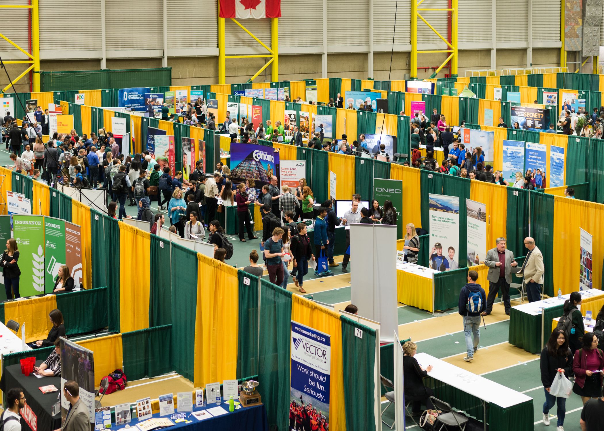 The Career Fair in 2013. 