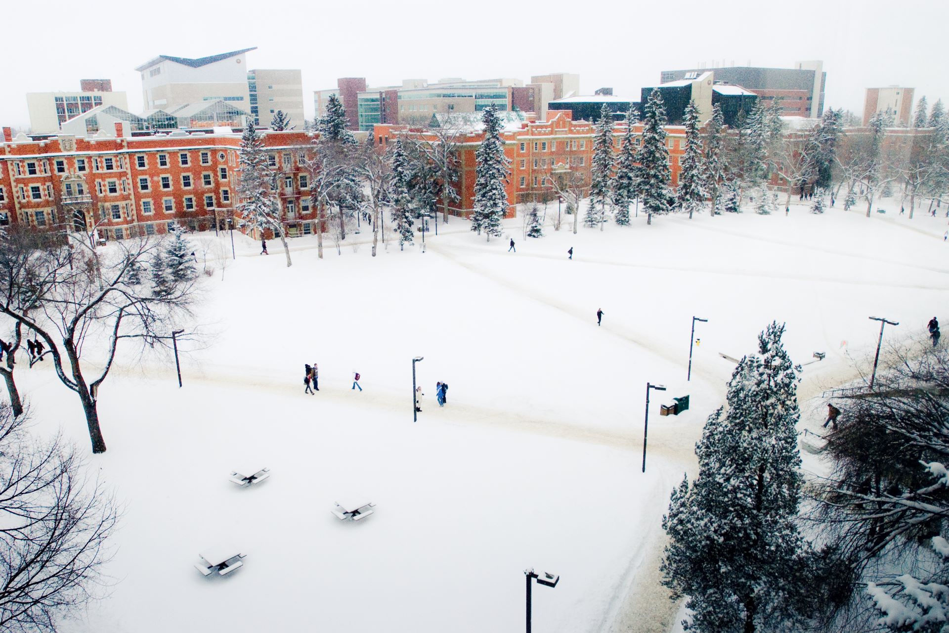 Quad covered in snow