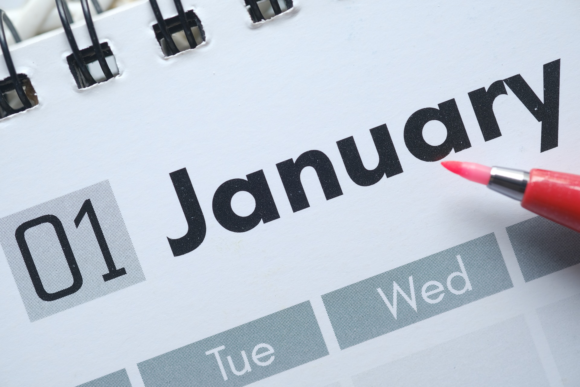 Marlena’s January event picks | YouAlberta