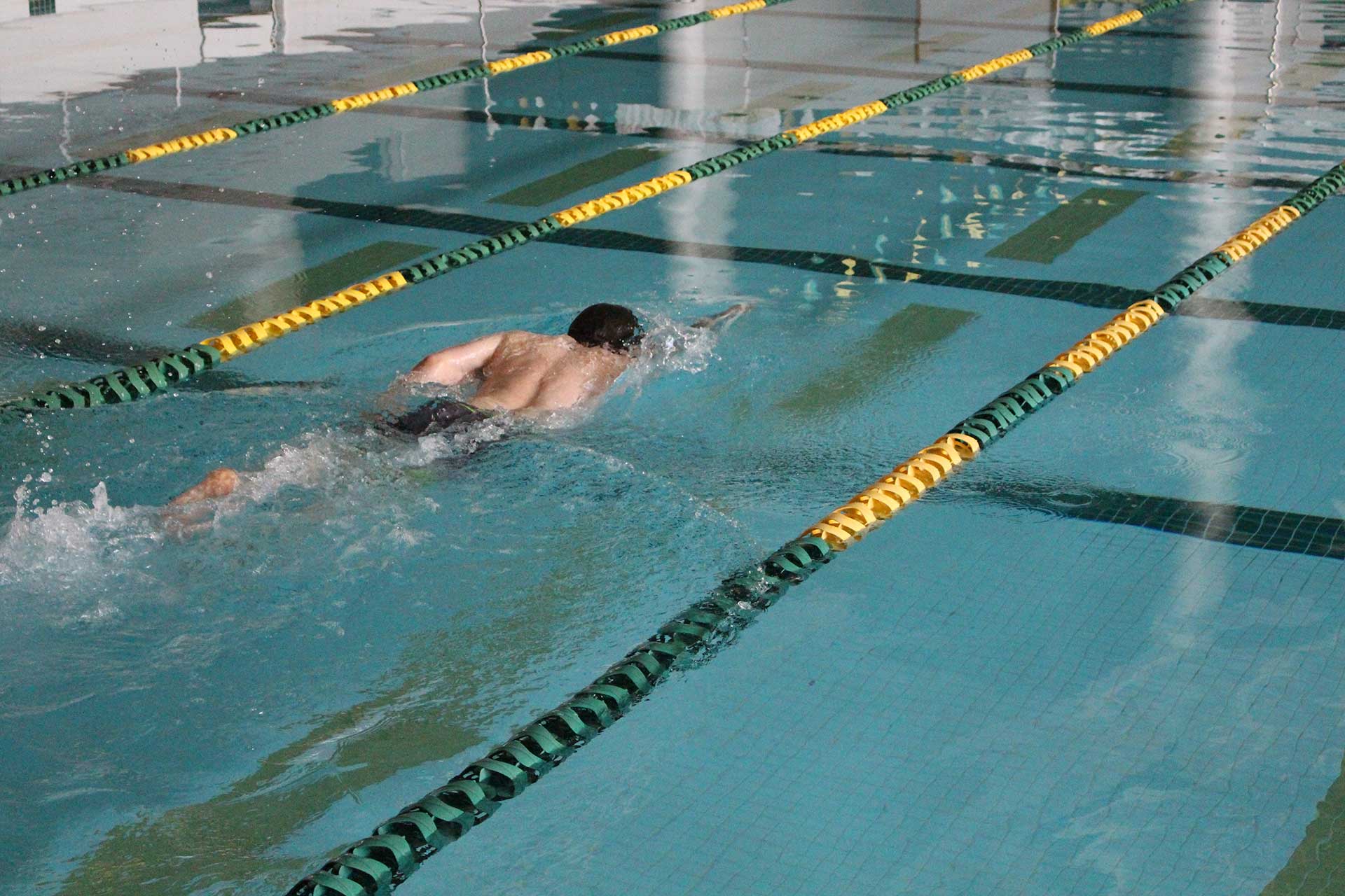 aquatics