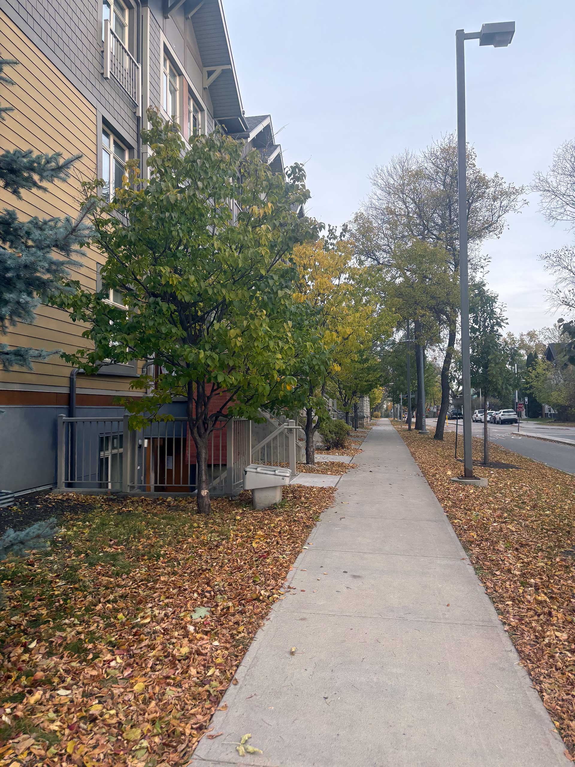 Graduation residence building and pathway