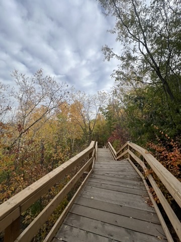 Vibrant fall foliage viewed from the Laurence Decore Lookout trail boardwalk