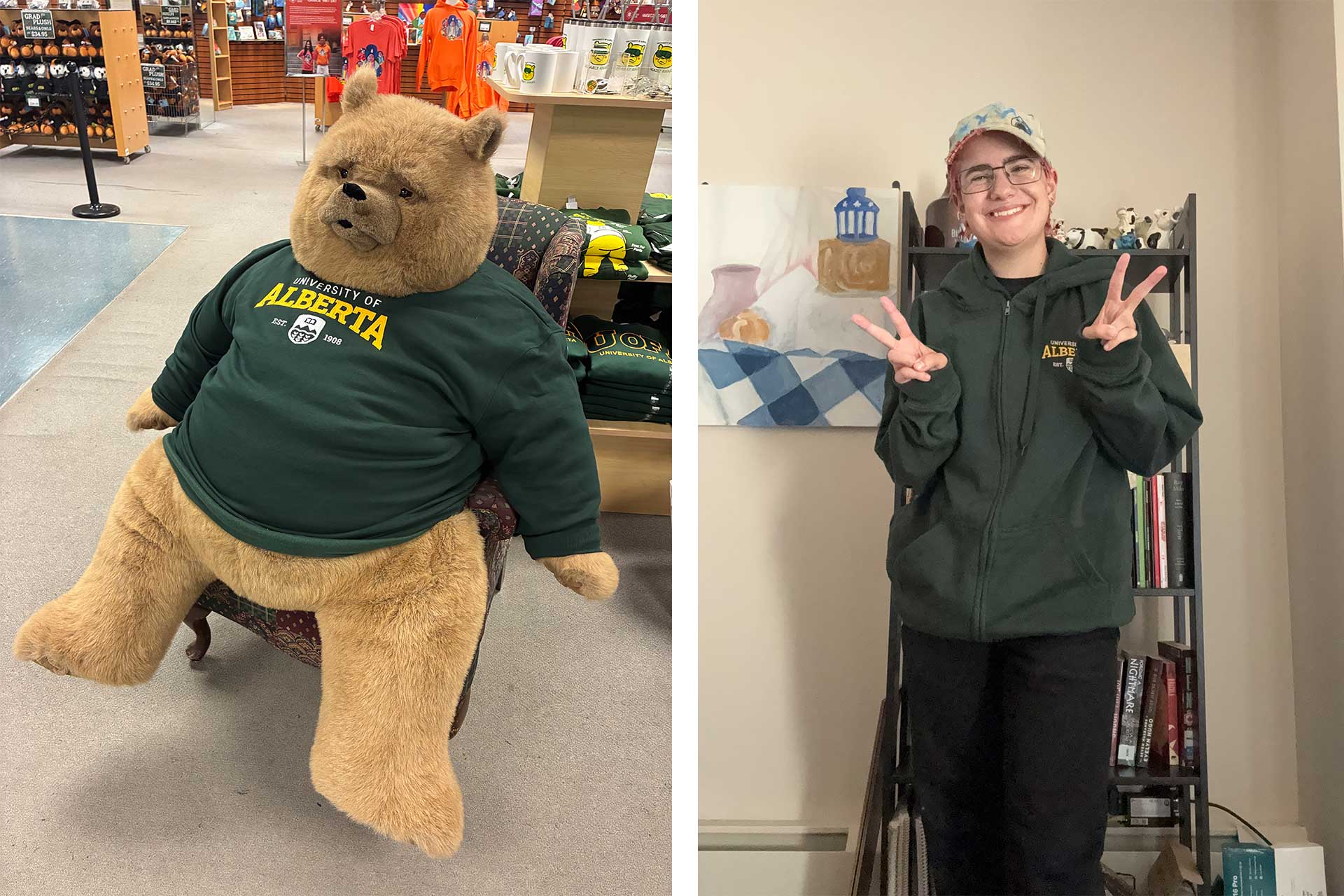 teren and bookstore bear