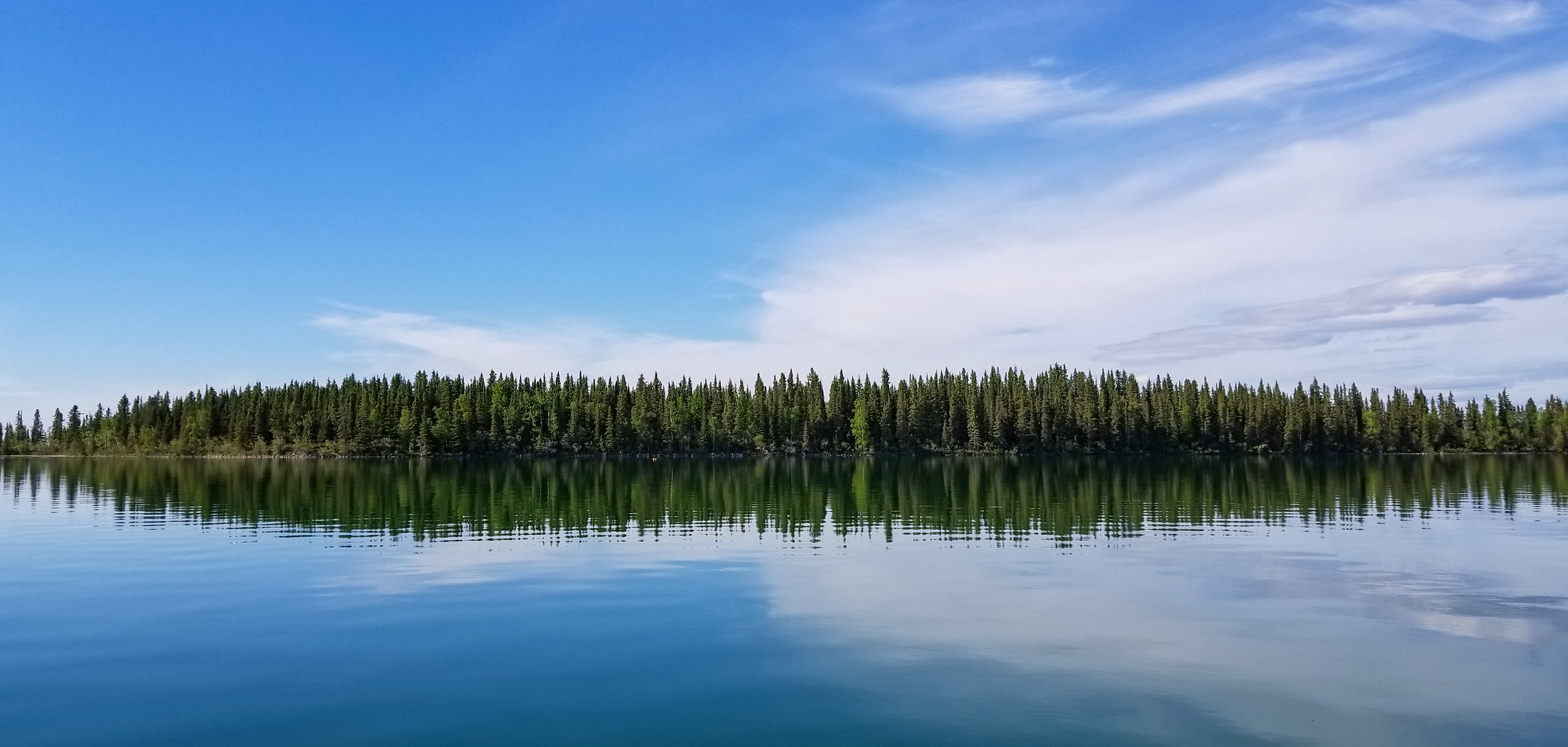 Blue skies, trees on the other side of a lake, reflected in the water