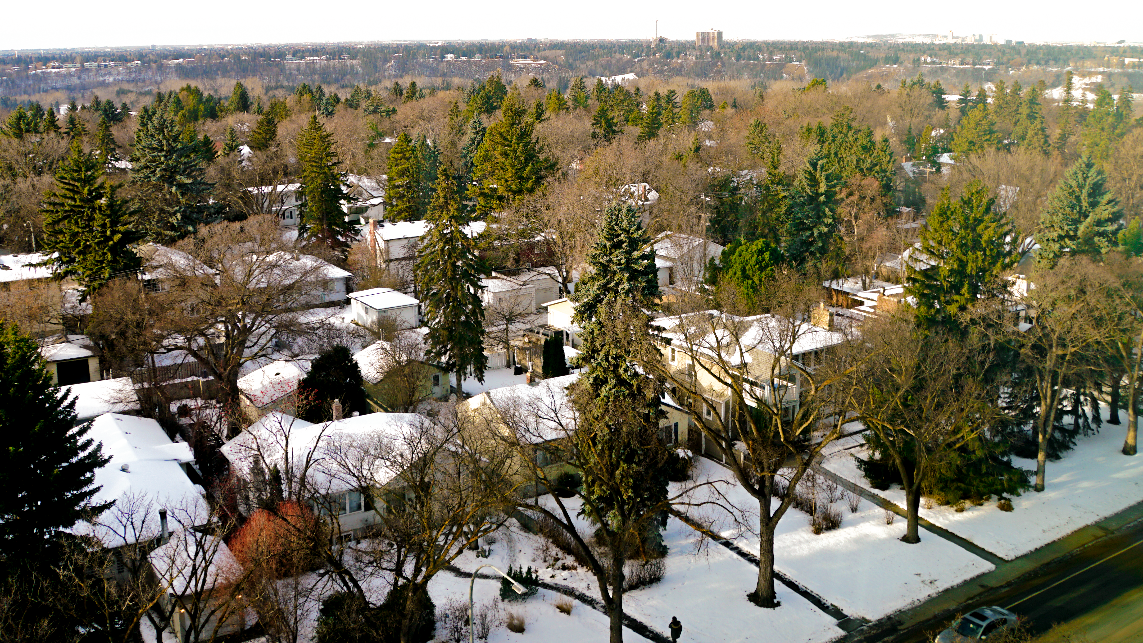 A community in Edmonton, with snow cover
