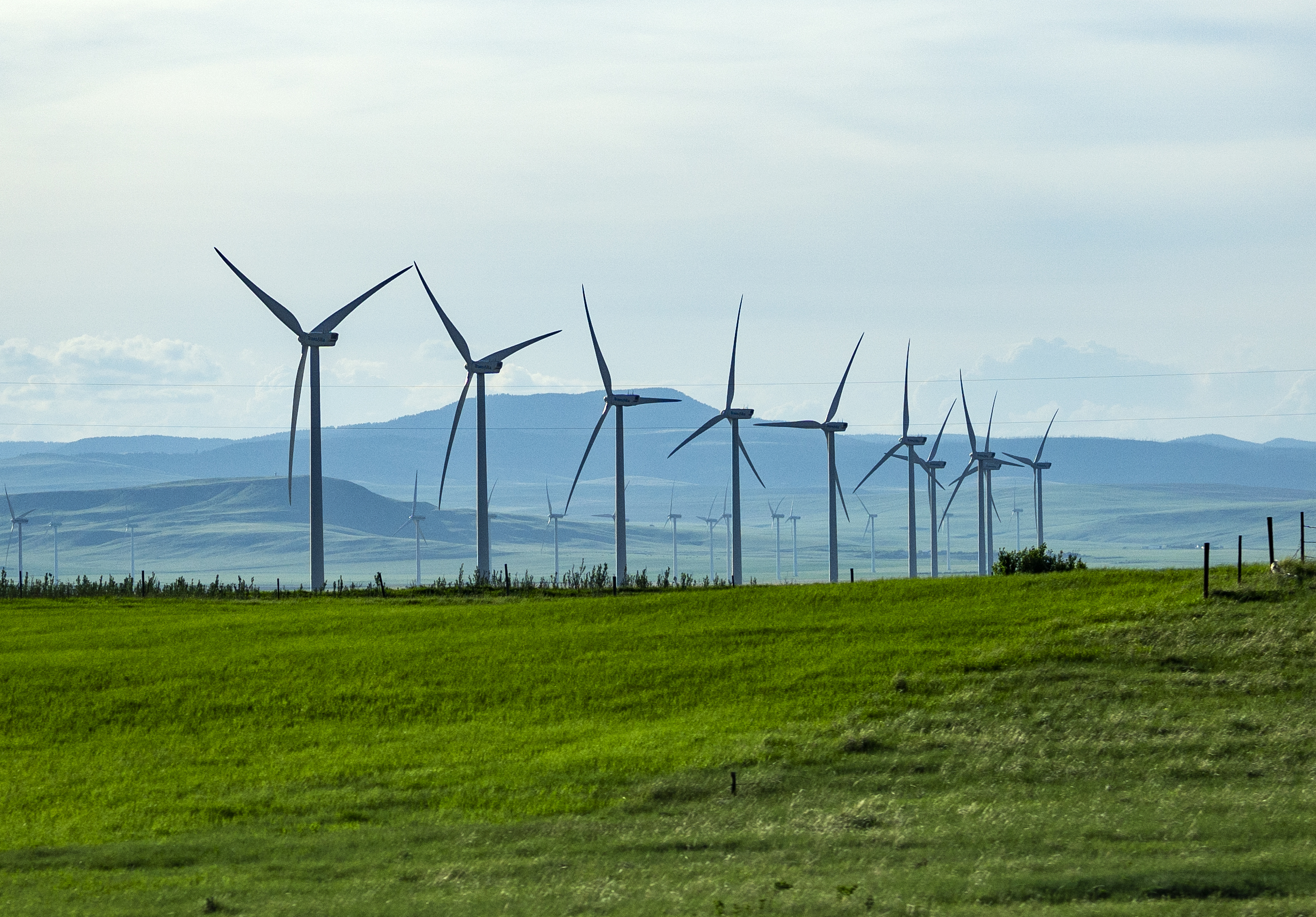A line of wind turbines in a field with mountains behind at the horizon