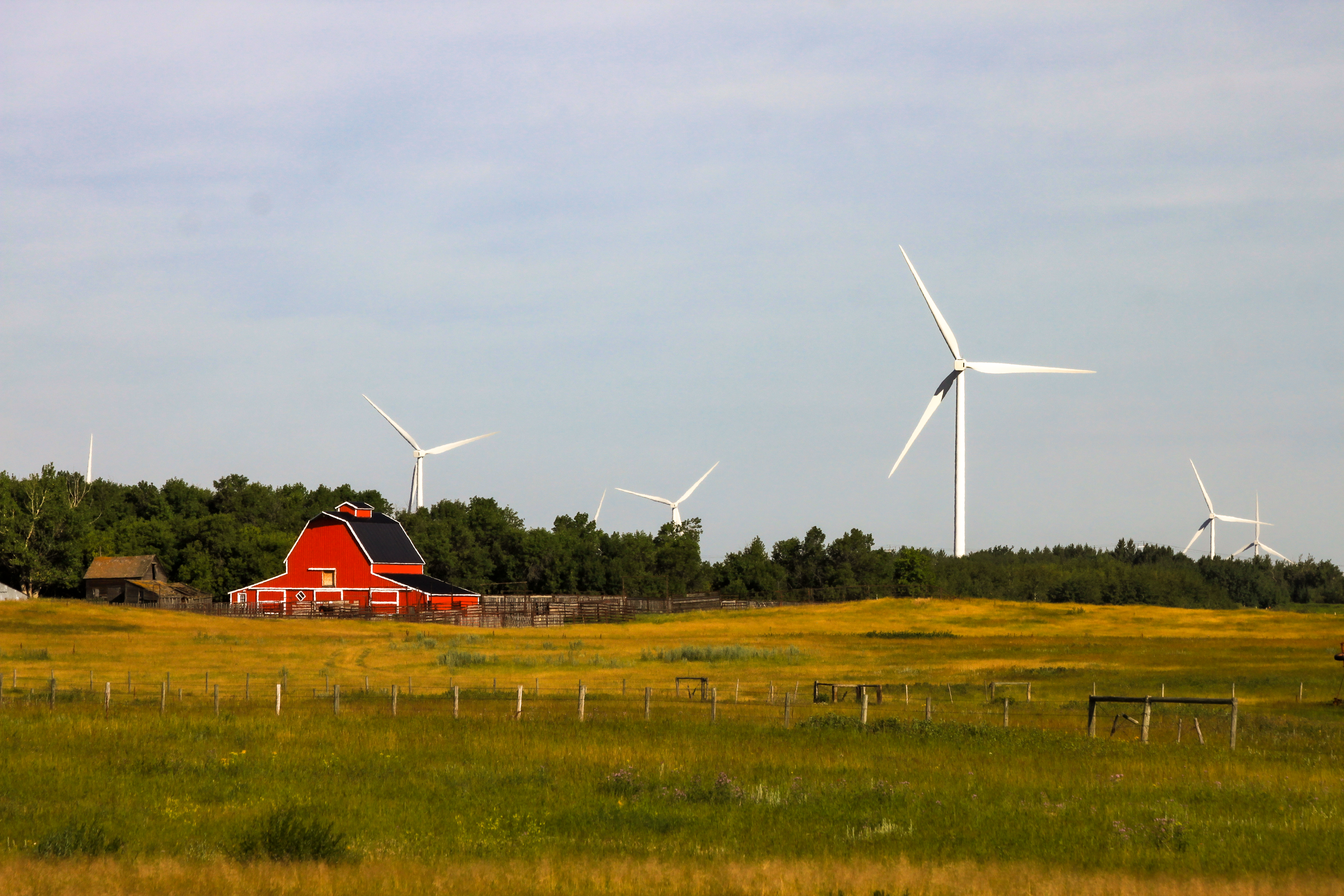 Wind turbines behind a barn on a rural field with trees surounding