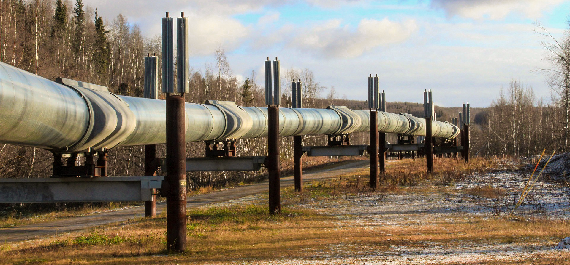 A pipeline across a cleared field, with light snow, with forest behind