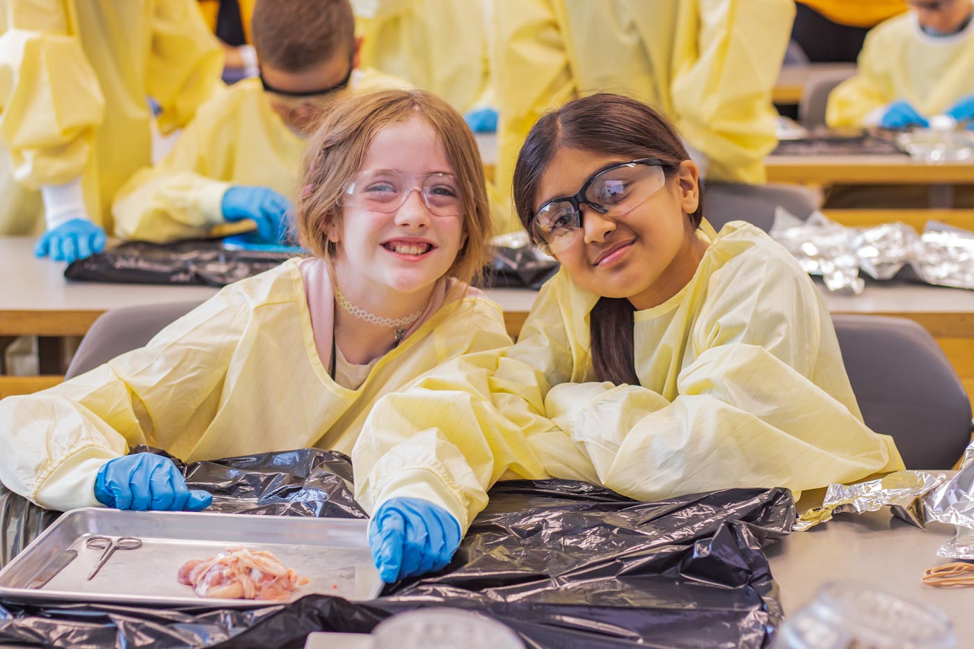 Two children dissecting a specimen