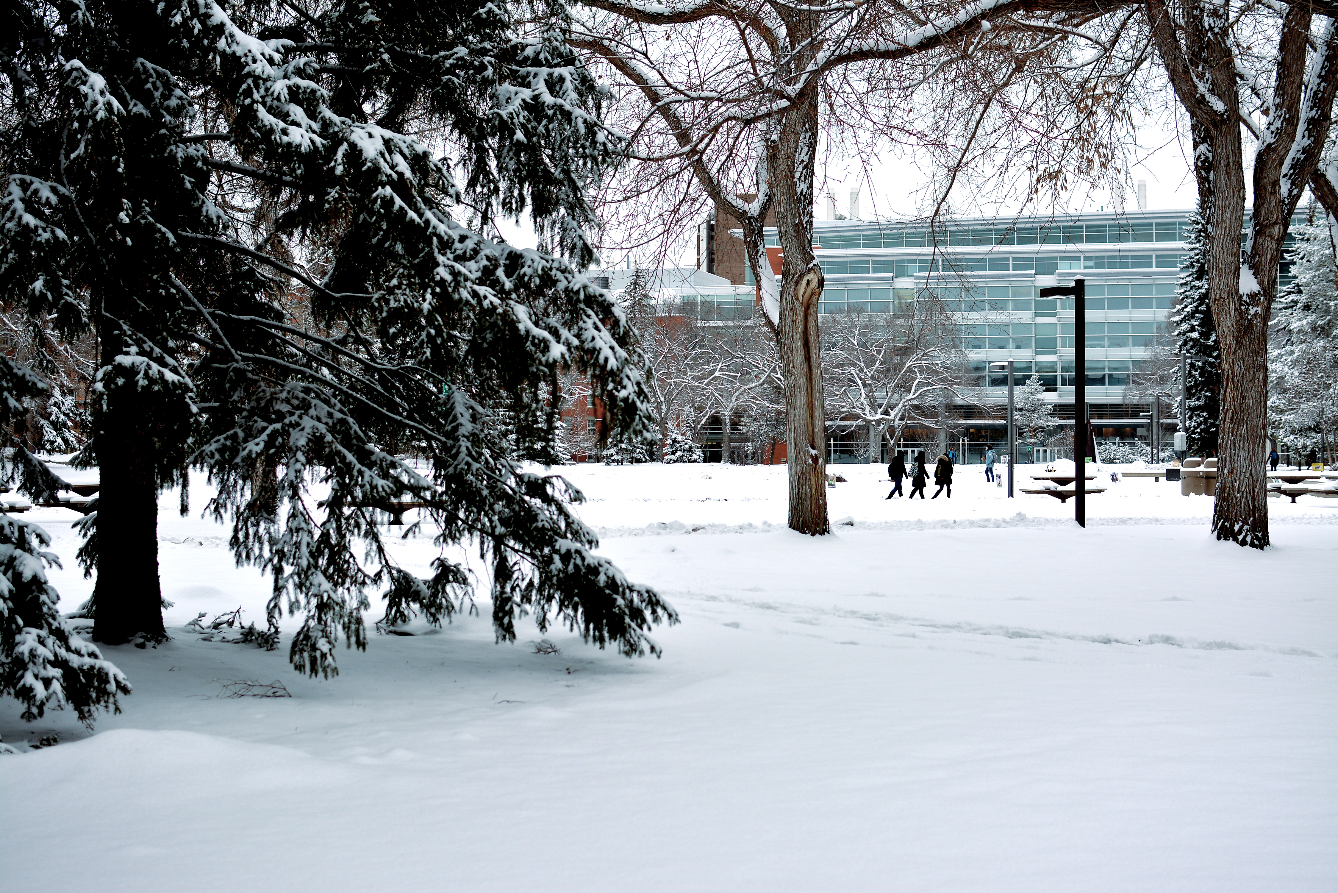 Main Quad covered in snow with CCIS in the background