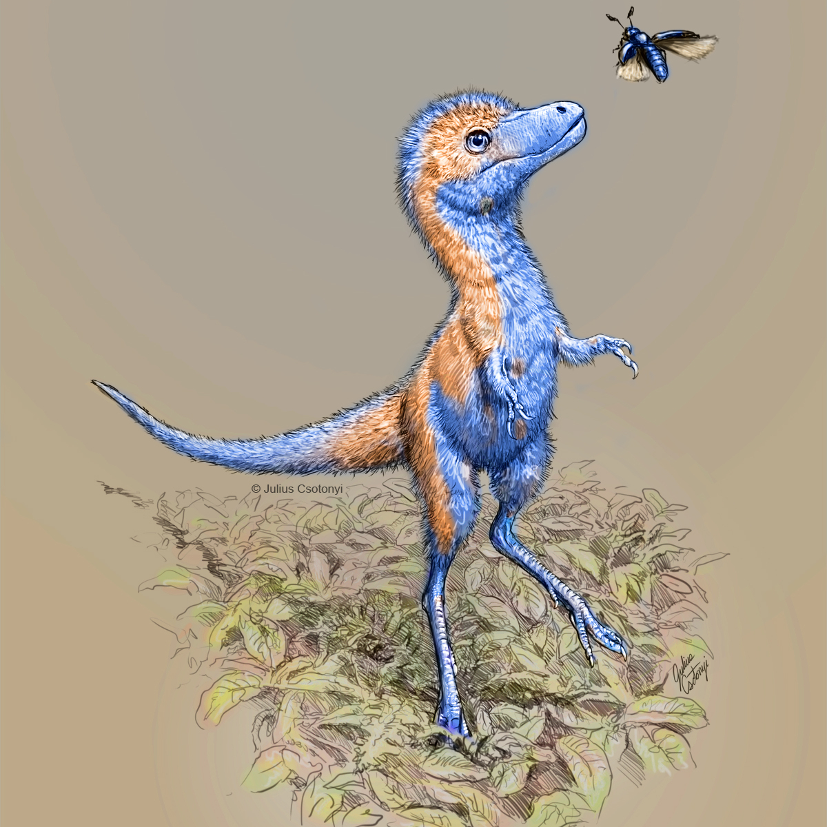 210125-baby-tyrannosaurus-juvie_01_v08_credit-julius-csotonyi-square-1200px.jpg