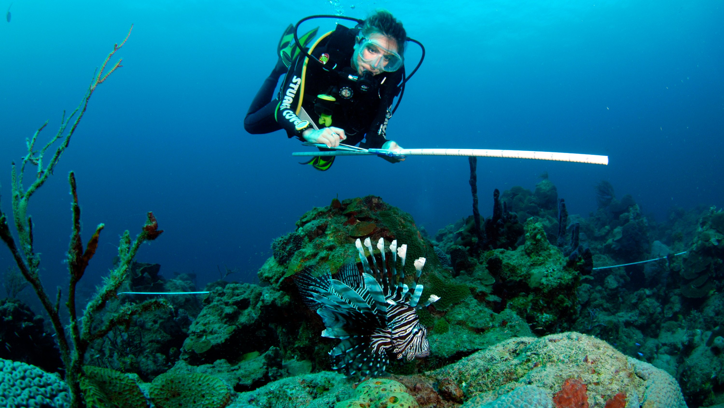 Stephanie Green records observations about a lionfish for her research on invasive species. Green helped create a trait-based tool to predict which native fish may be most vulnerable to the voracious invader. (Photo courtesy Stephanie Green)