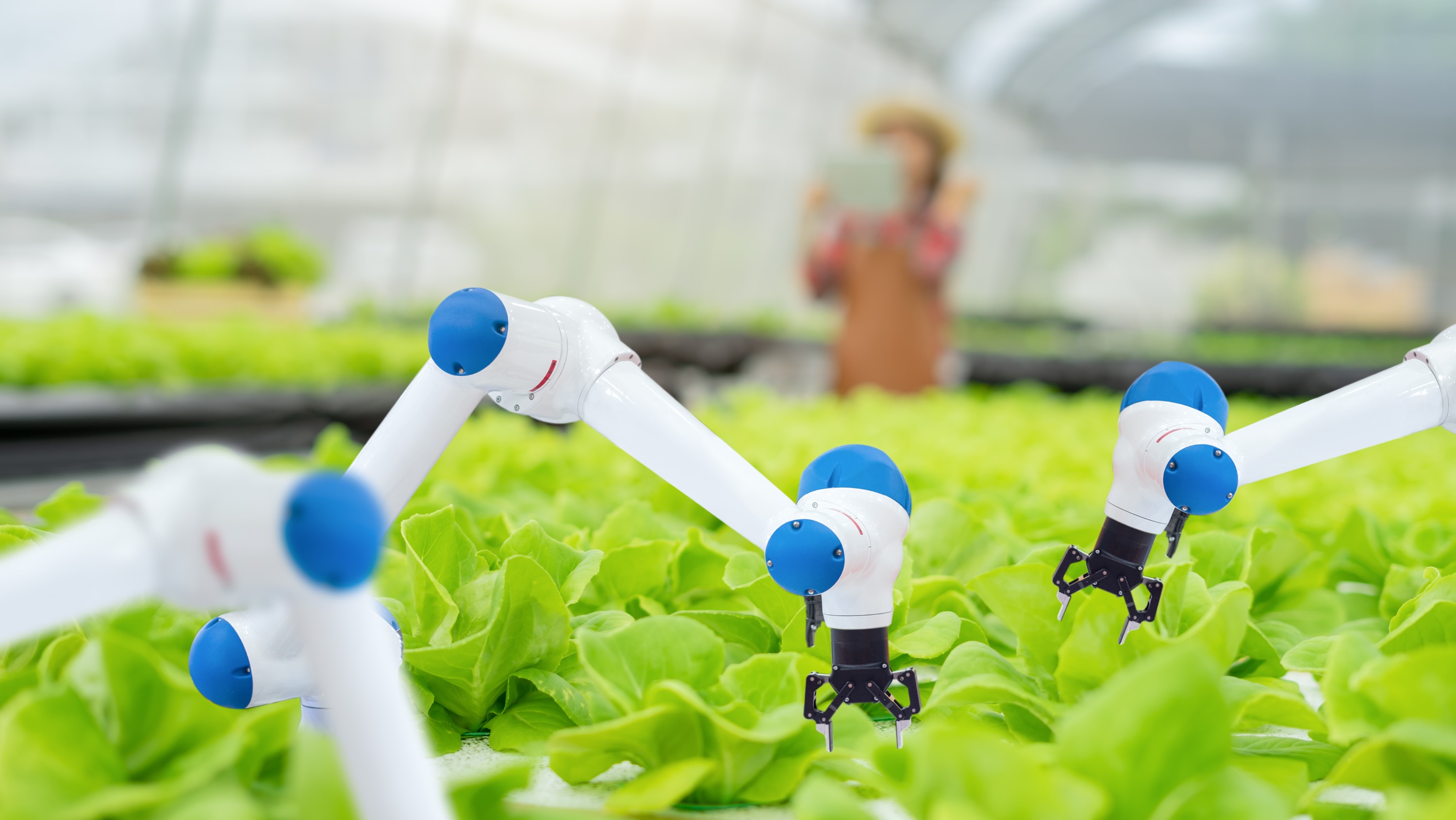 A new partnership between the U of A and leading Silicon Valley firm SVG Ventures|THRIVE will help spur innovation and strengthen competitiveness in Alberta’s agriculture and food sectors. (Photo: Getty Images)
