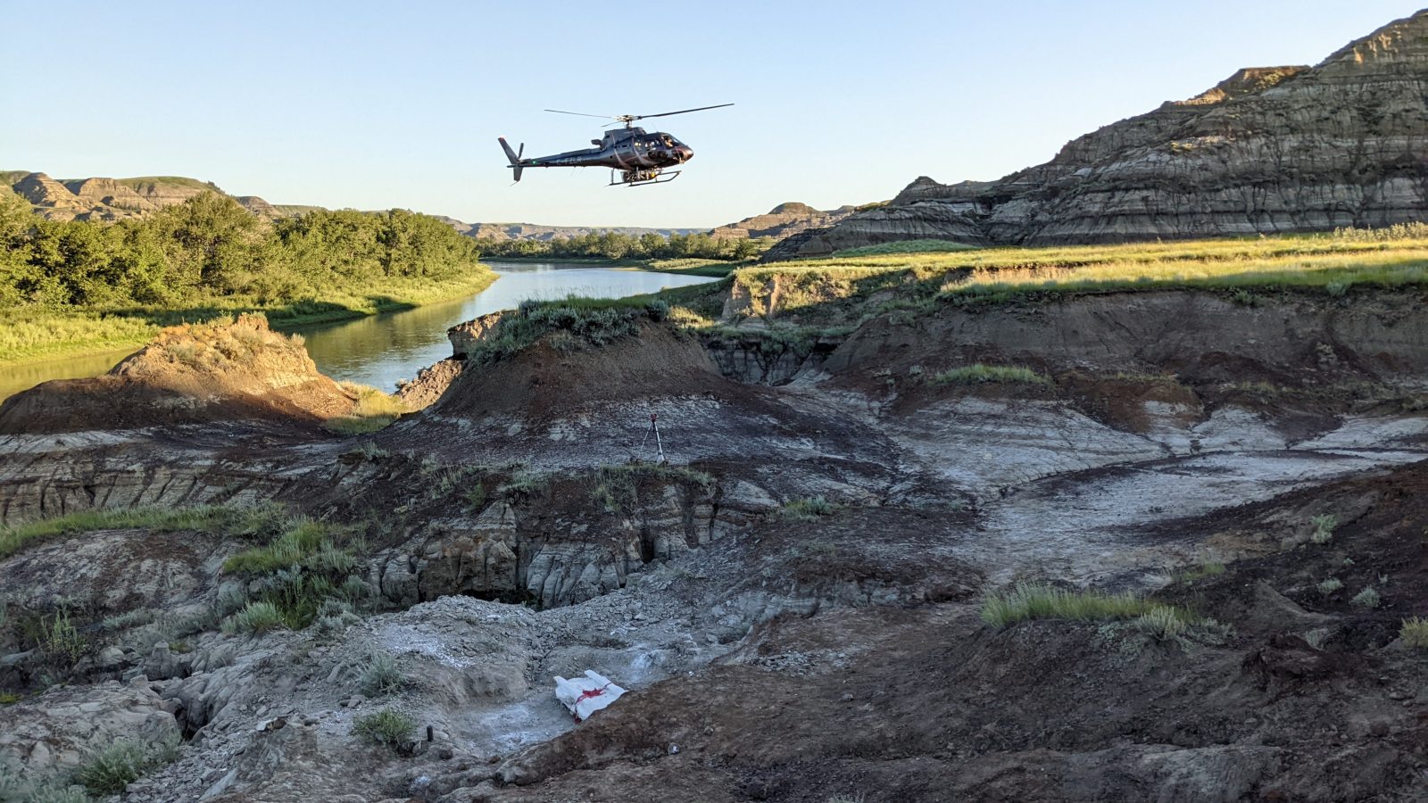 Helicopter flies above dinosaur specimen near Morrin, Alta.