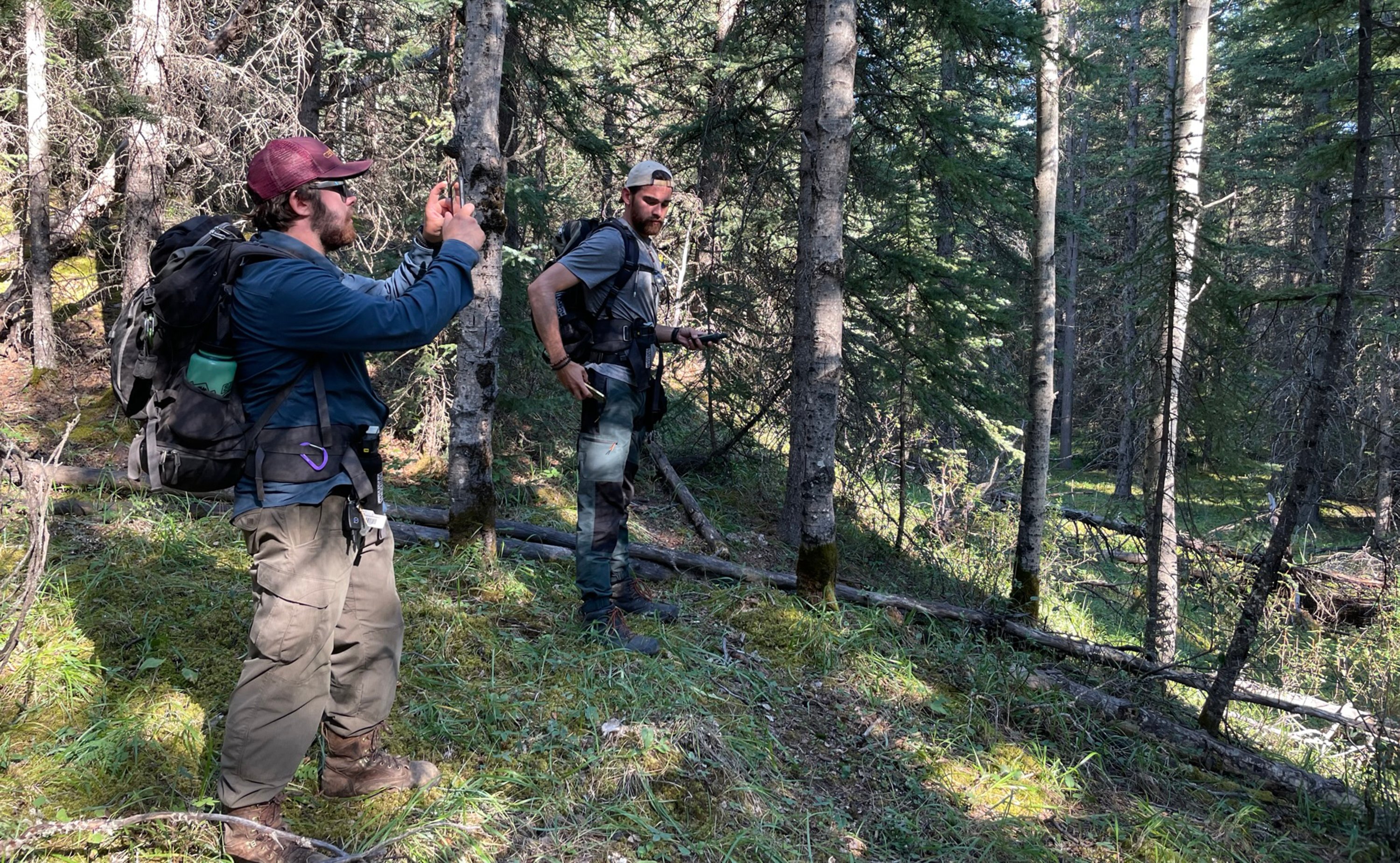 Graduate students Jared Randall (left) and Carter Kuiper with the Wildfire Analytics Team document vegetation around the community of Nordegg that could fuel a wildfire.