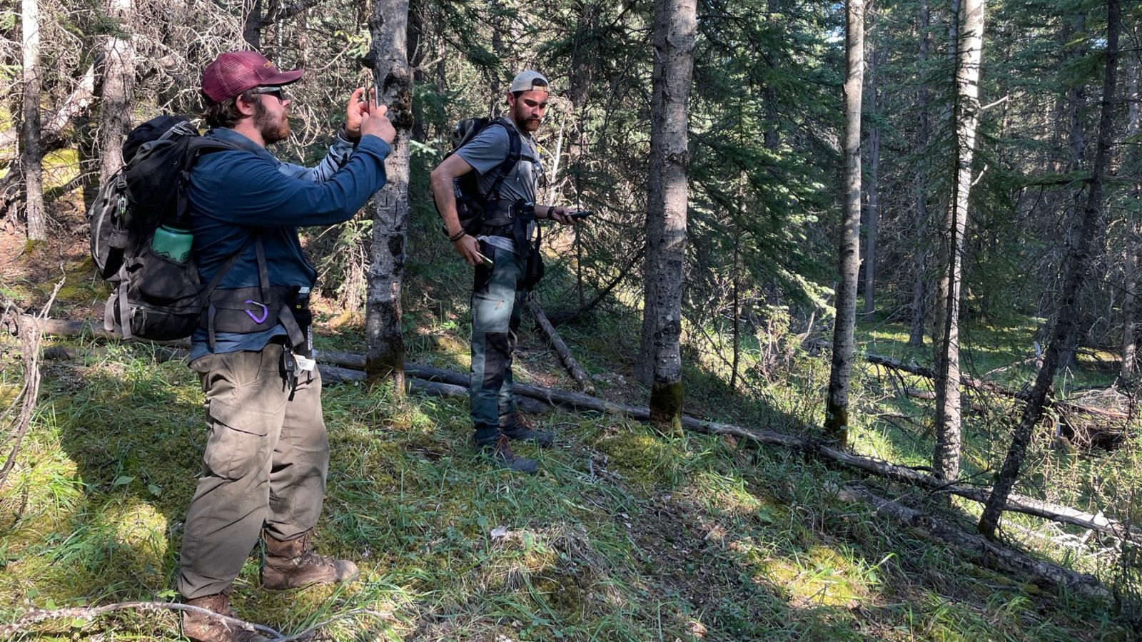 Graduate students Jared Randall (left) and Carter Kuiper with the Wildfire Analytics Team document vegetation around the community of Nordegg that could fuel a wildfire.