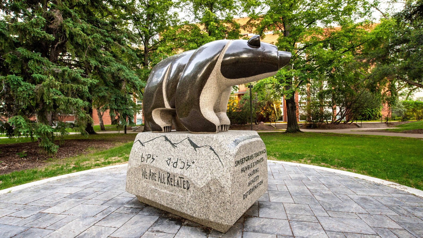 “The Sweetgrass Bear,” a granite sculpture by Cree artist Stewart Steinhauer, was installed on the U of A's North Campus quad in 2016 as a marker of Treaty 6 territory and a symbol of the university's efforts toward respectful, meaningful reconciliation with Indigenous Peoples. (Photo: Richard Siemens)