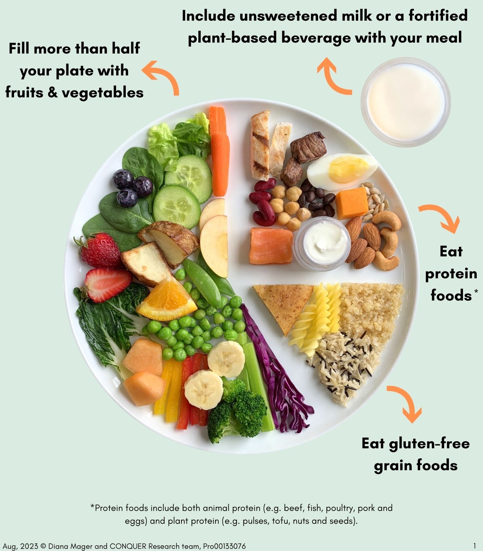 A plate showing recommended servings in a gluten-free food guide created by U of A researchers. The guide recommends filling just over half the plate with fruit and vegetables, and eating gluten-free grains such as pasta or rice, along with proteins such as seeds, nuts, fish, eggs and other animal proteins. The plan also includes a serving of unsweetened milk or a fortified plant-based beverage. (Image: Supplied)