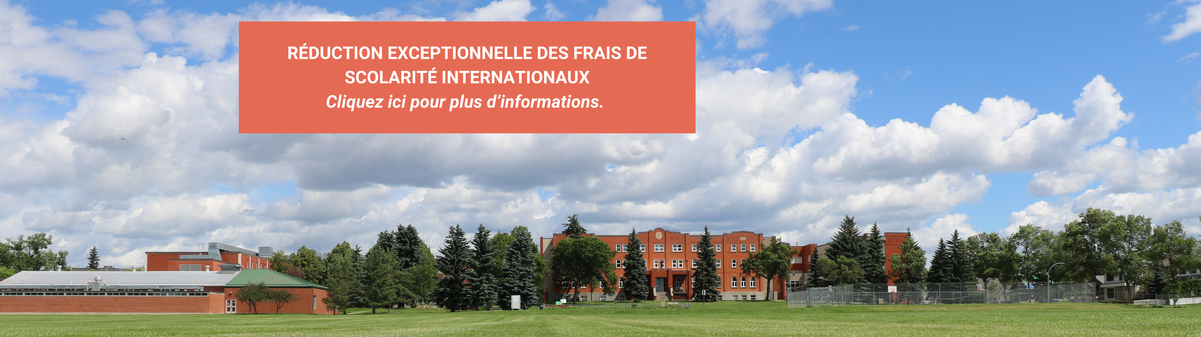 Banner international students