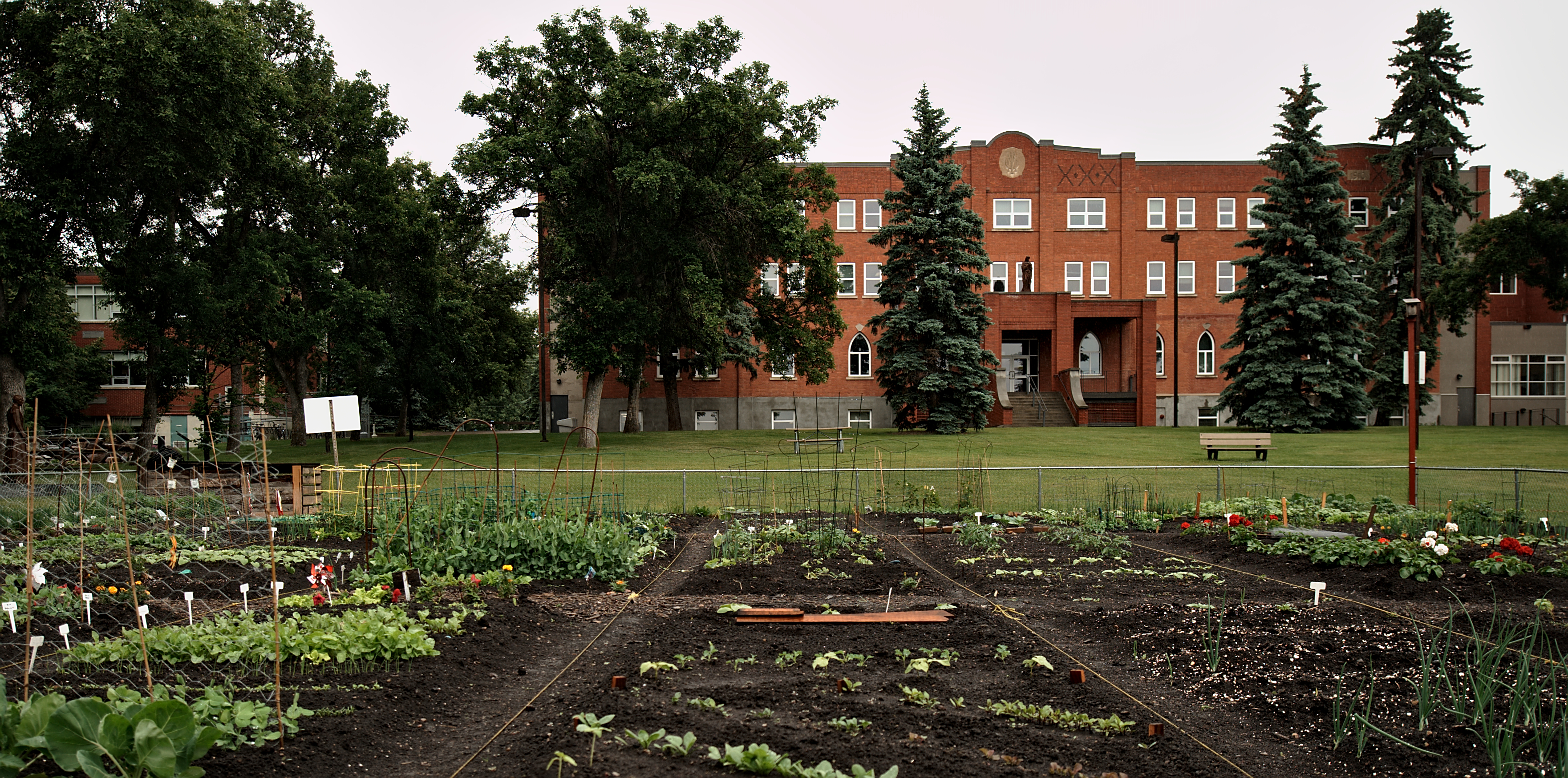 Jardin communautaire au Campus Saint-Jean