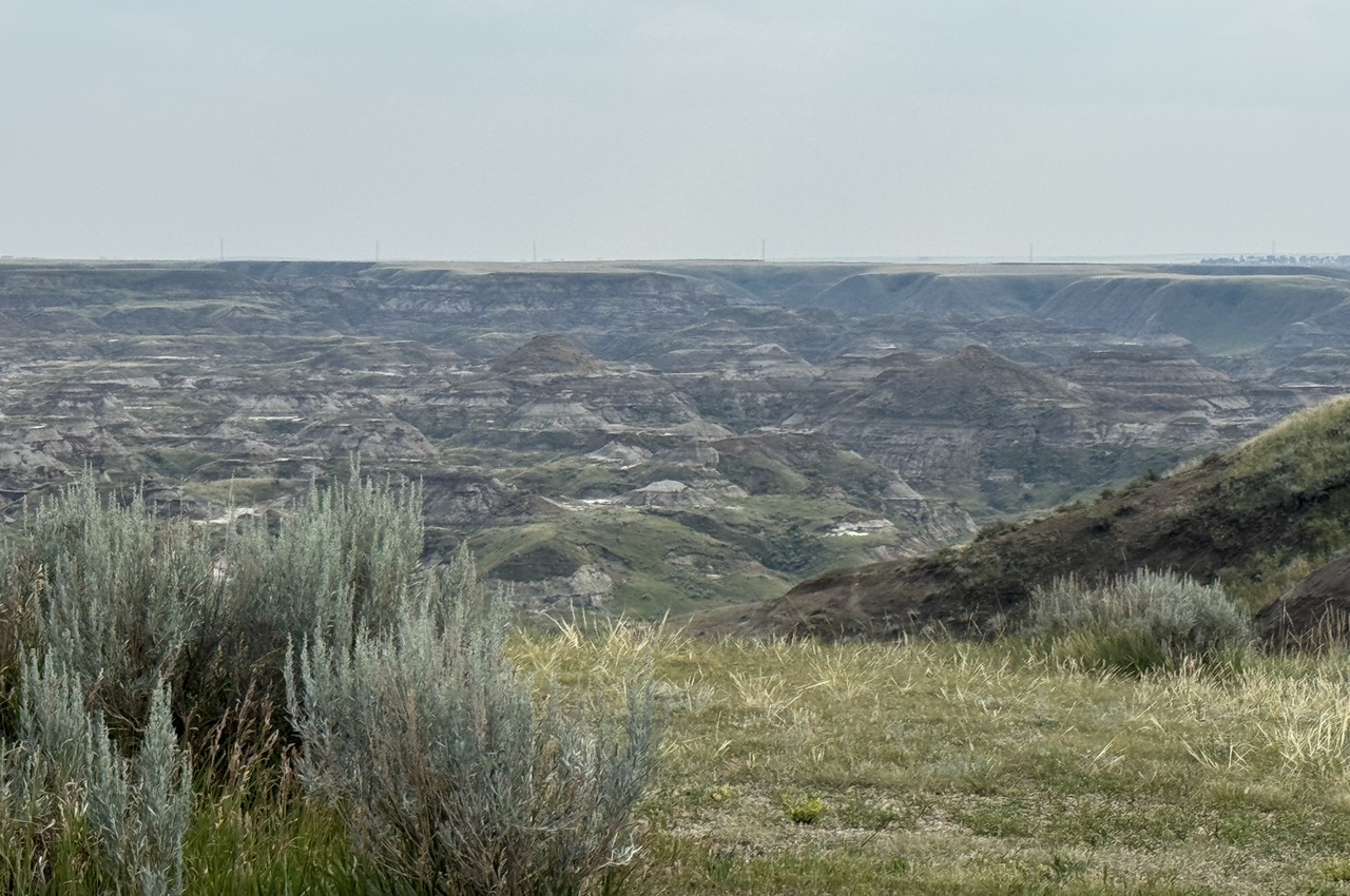 plusieurs espèces d'herbes de près, hoodoo et collines rocheuses au loin