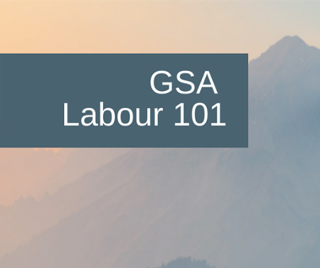 GSA Labour 101 image