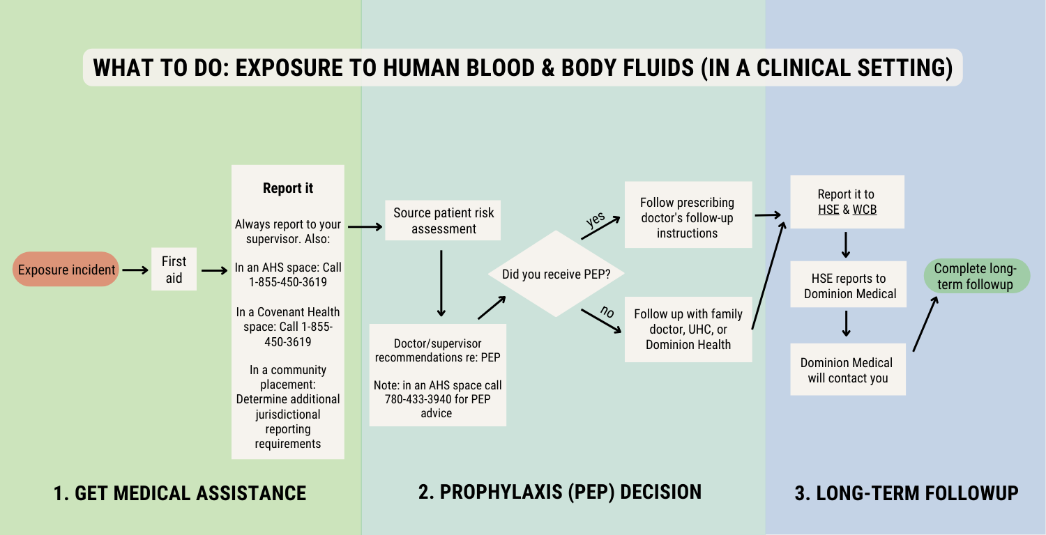 Exposure to human blood and body fluid info graphic