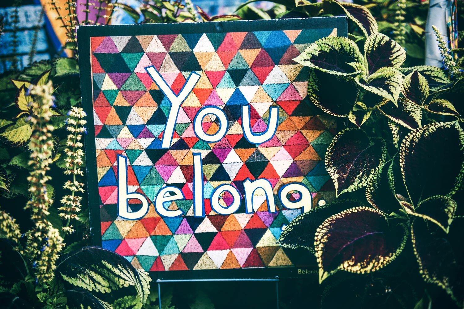 Painting sitting in an easel surrounded by plants. The painting is of many-coloured triangles with the words, You belong.