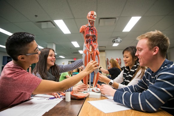 Students with figure of muscle system