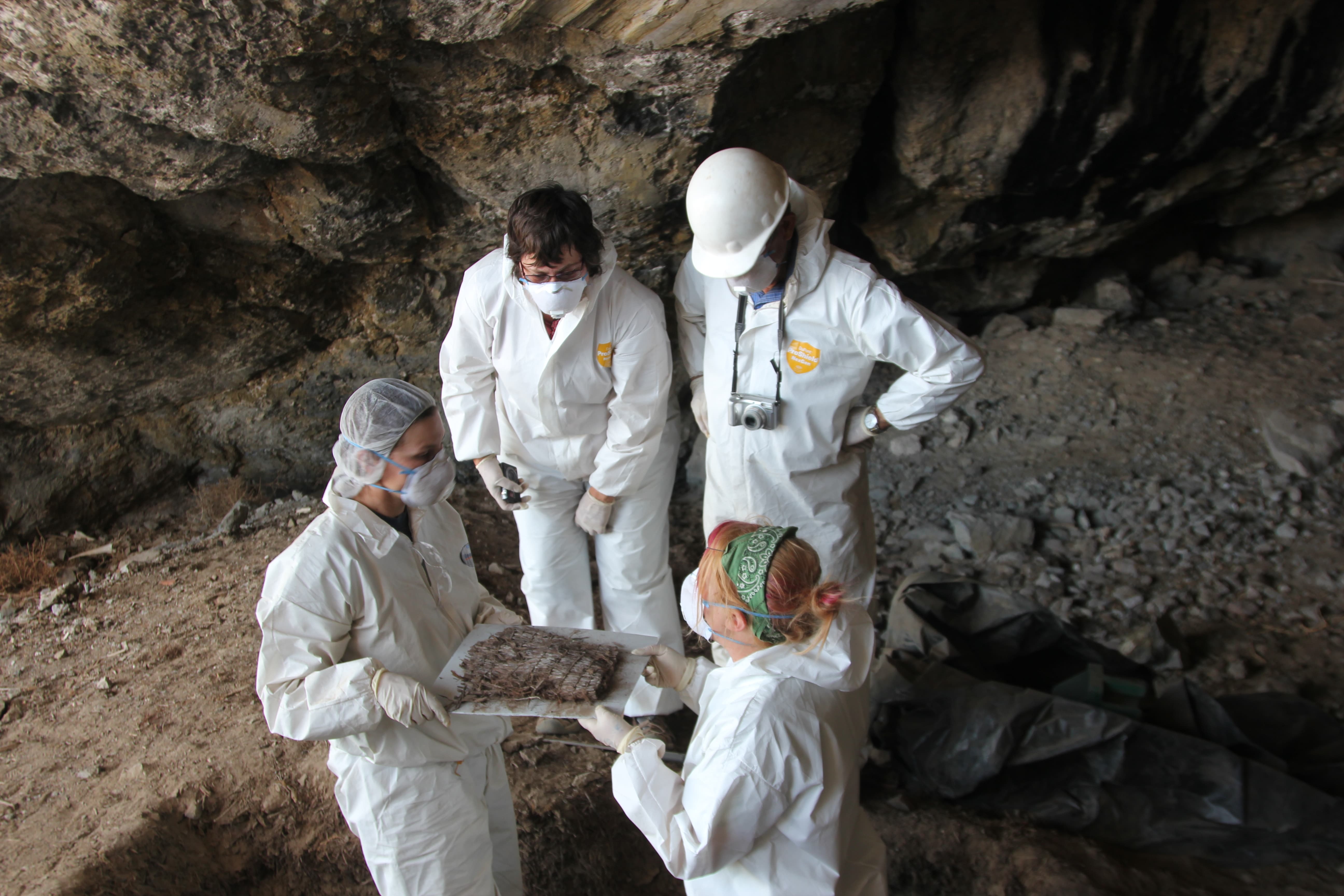 Documenting Dene Diaspora team at work in Promontory Cave 1